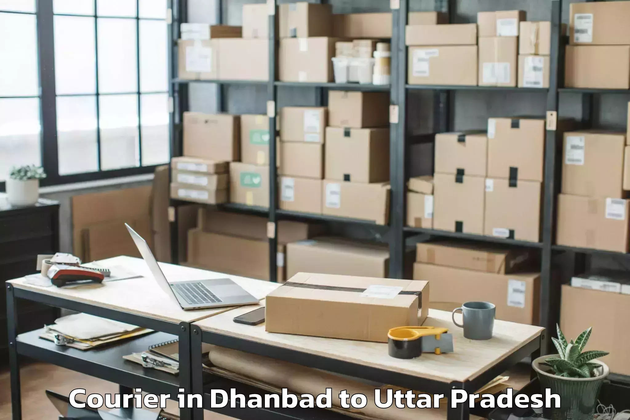 Leading Dhanbad to Aligarh Muslim University Courier Provider